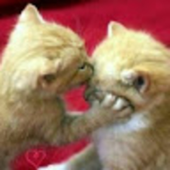 Meet your Posher, I - Picture 1 of 1